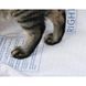 Змінна підкладка для наповнювача Petkit High Performance Cat Litter Pad Ultra (P99035) 553122 фото 6
