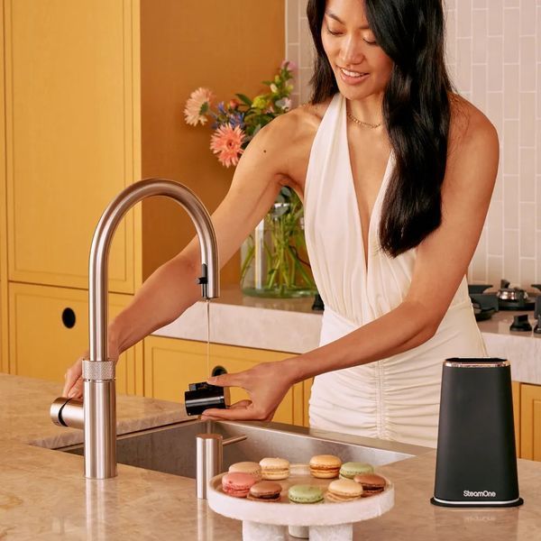 Відпарювач SteamOne EUFD80BV2 544778 фото