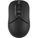 Миша бездротова A4Tech FG12 Black 359772 фото 1
