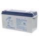 Акумуляторна батарея Ritar 12V 150AH (DG12-150) GEL 453660 фото 1