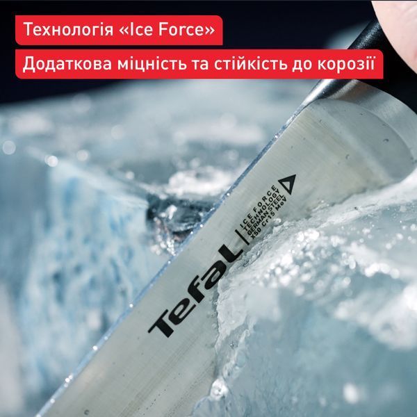Набір ножів Tefal Ice Force у пластиковій колоді 4 предмети (K2325S75) 559912 фото