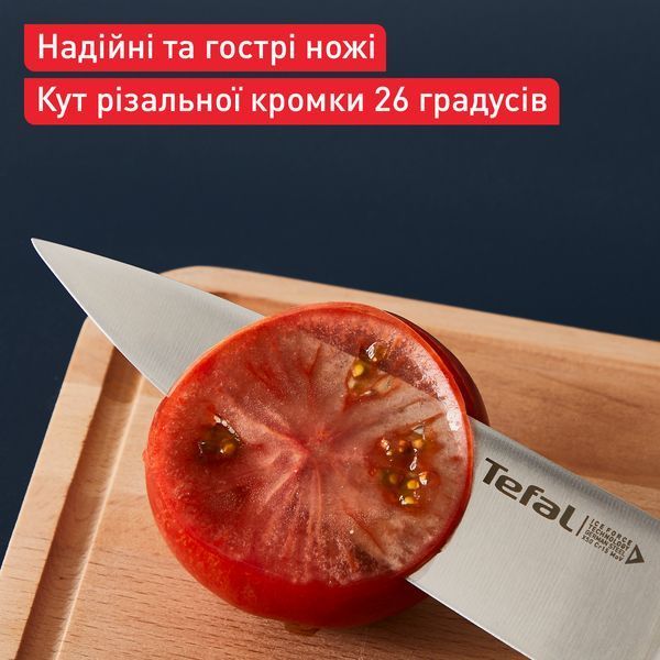 Набір ножів Tefal Ice Force у пластиковій колоді 4 предмети (K2325S75) 559912 фото