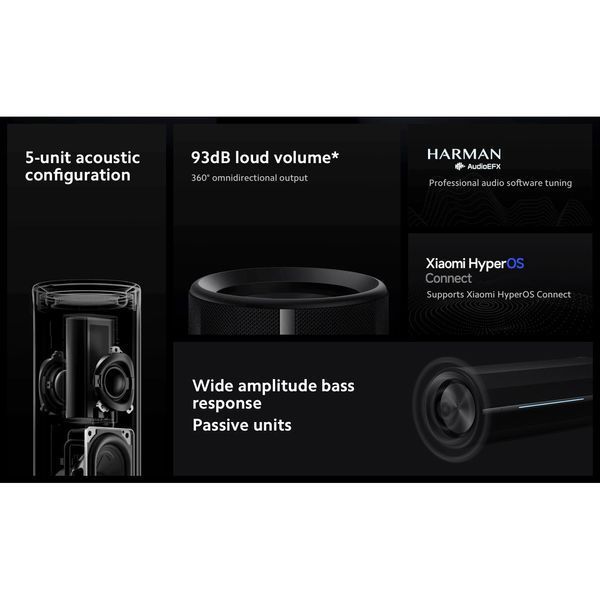 Акустична система Xiaomi Bluetooth Speaker Black (QBH4275GL)_EU 551349 фото