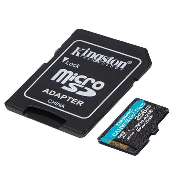 Карта пам`яті MicroSDXC 256GB UHS-I/U3 Class 10 Kingston Canvas Go! Plus R200/W160MB/s + SD-адаптер (SDCG4/256GB) 550105 фото