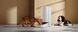 Смарт-годівниця Mova Automatic PET Feeder PF10 Pro (PF10A) 556056 фото 6