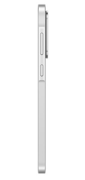 544313 фото